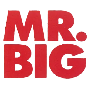 Метъл Тениски и Суичъри - Mr. Big