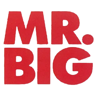 Mr. Big