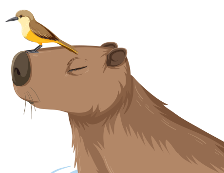 Capybara тениски