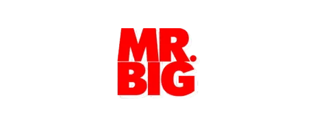 Mr. Big