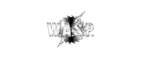 Wasp
