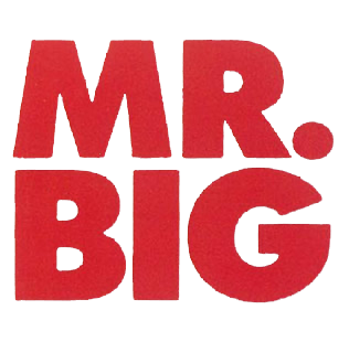 Mr. Big
