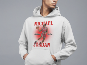 Суичър  JORDAN  BULLS